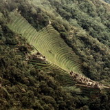 Inca trail - Winaywayna